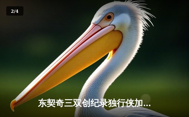 东契奇三双创纪录独行侠加时险胜雷霆，欧文关键三分锁定天王山 - 2