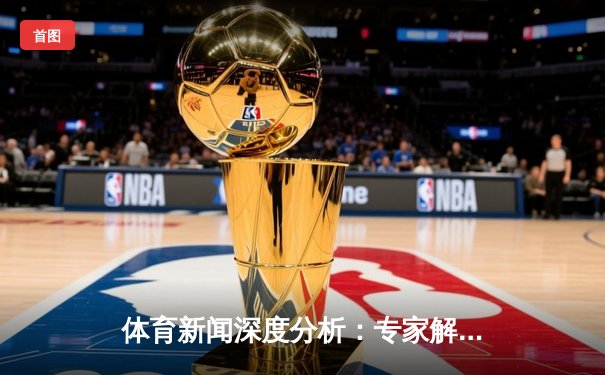 体育新闻深度分析：专家解读